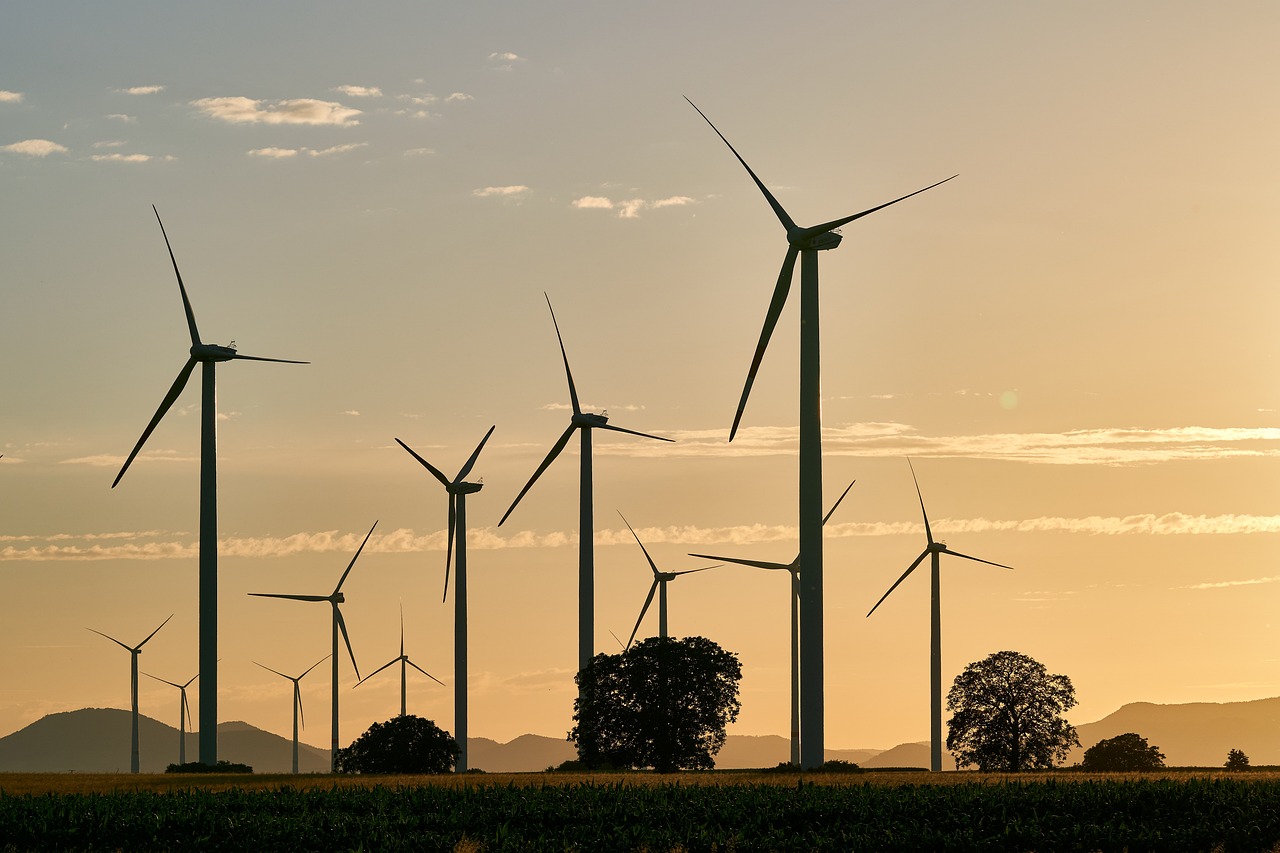 Wind Plant